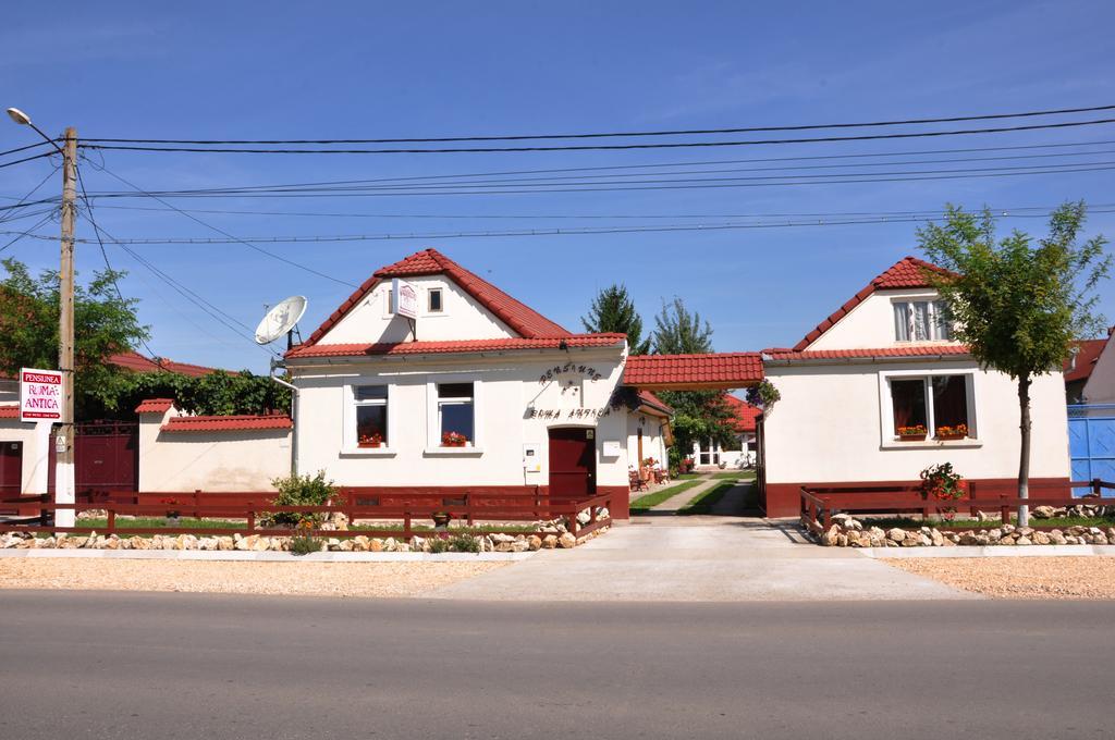 Pensiunea Roma Antica Hărman Exterior foto